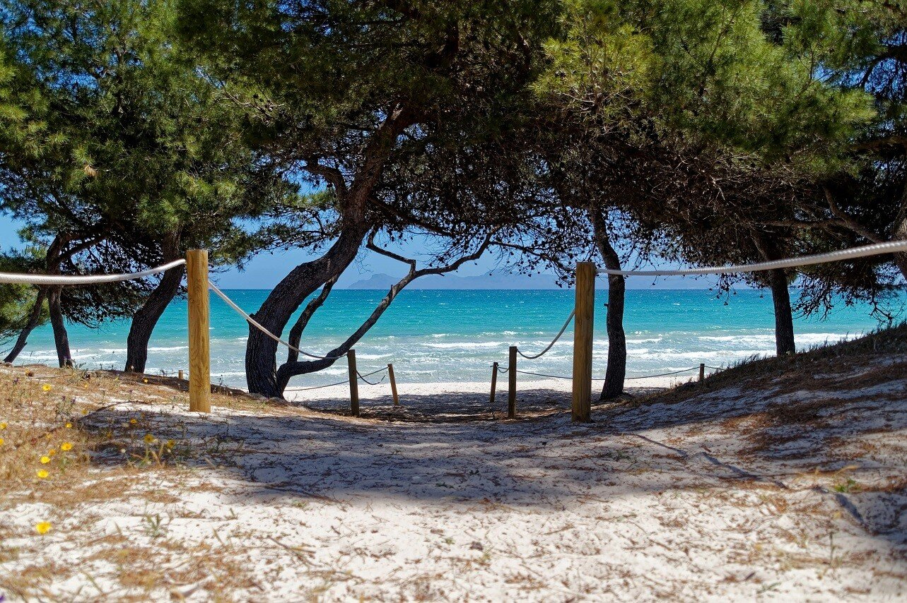 playas mallorca