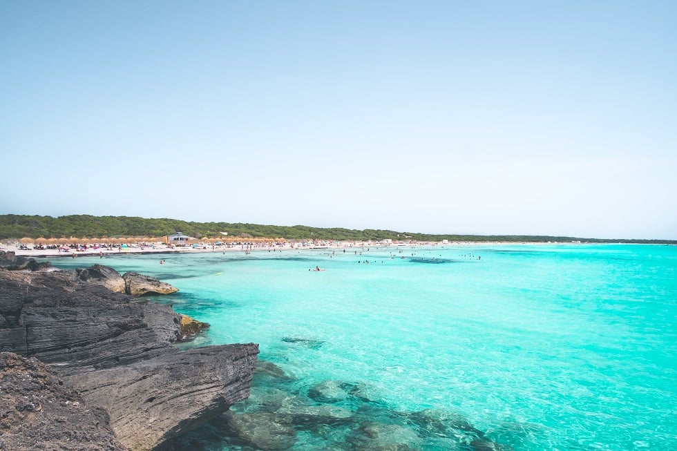 playa mallorca