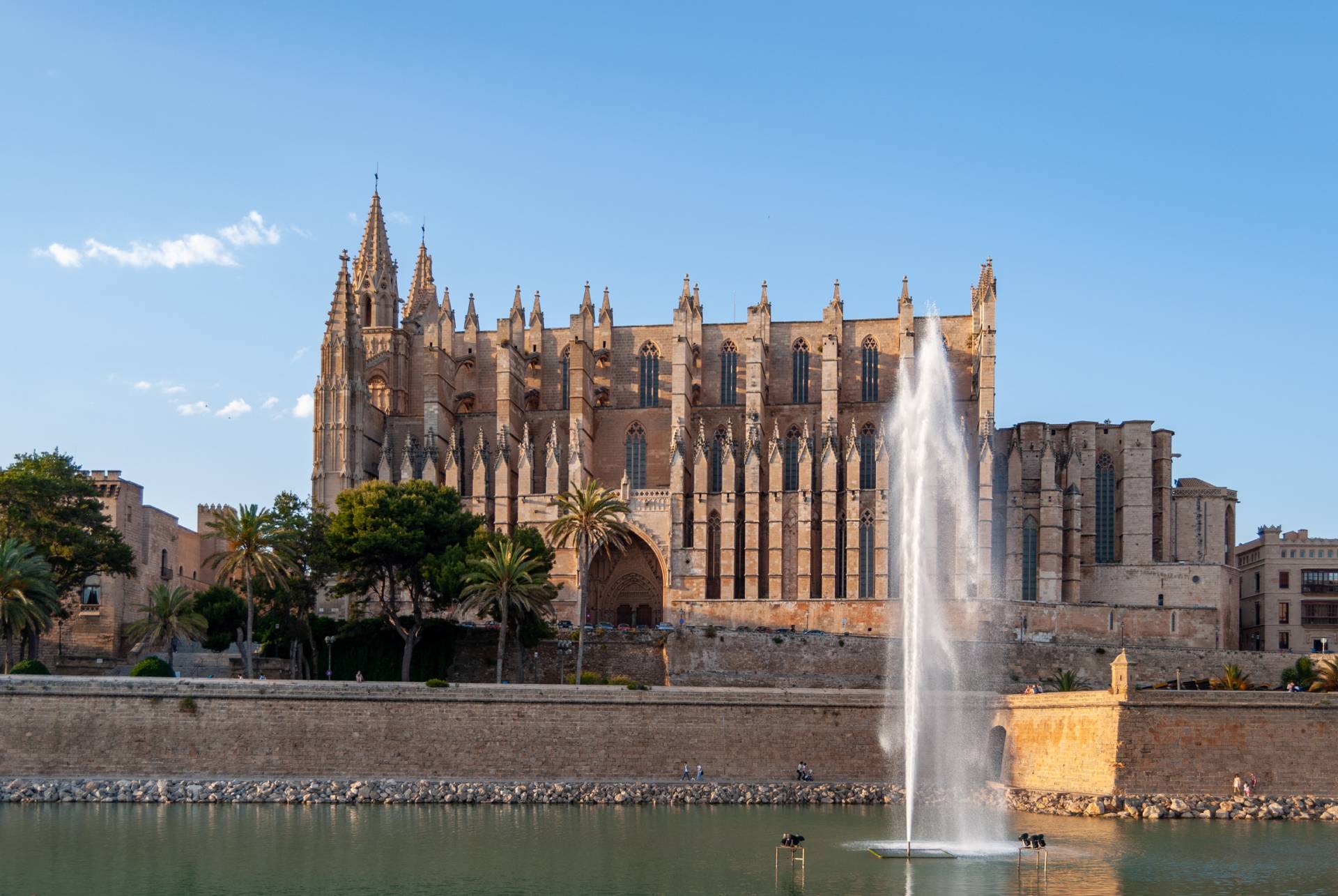 Visita la catedral de Mallorca