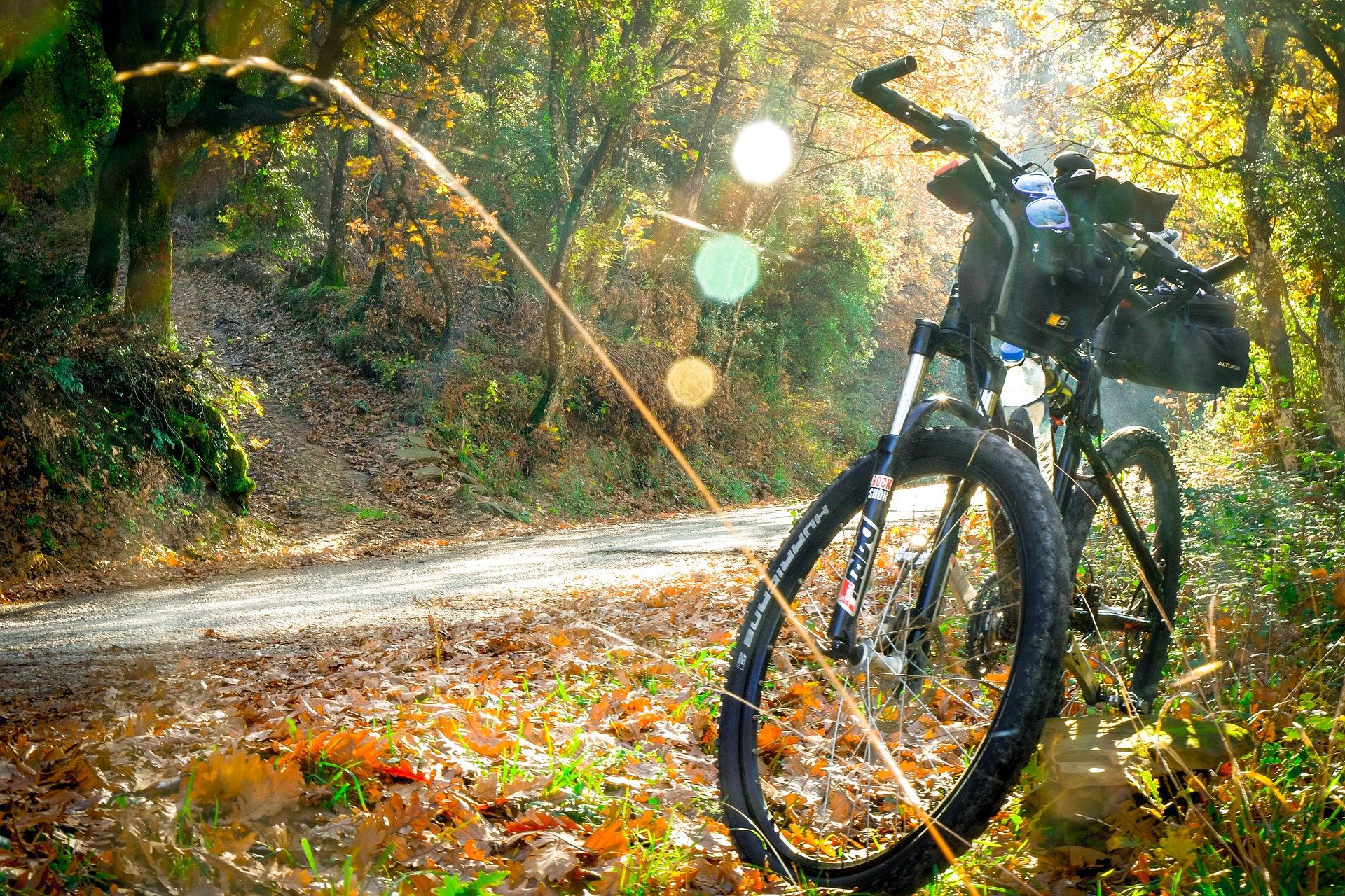 ciclismo para todos los niveles