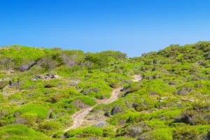 Menorca. Reserva de la Biosfera